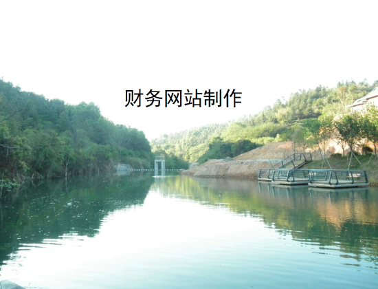 财务网站制作.jpg