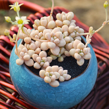 Cloud Zoom small image