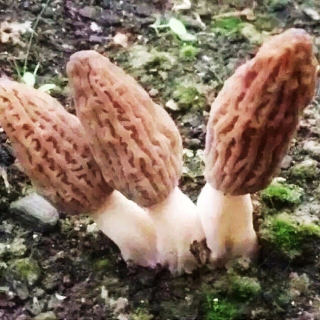 Cloud Zoom small image