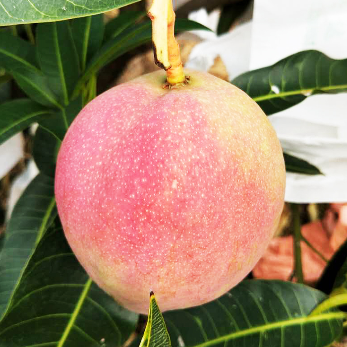 Cloud Zoom small image