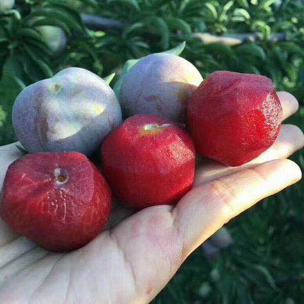 Cloud Zoom small image