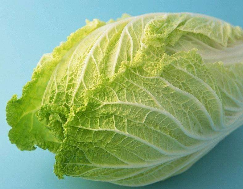 白菜谱尼检测报告