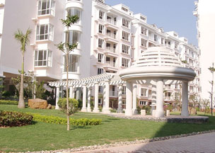  申请专利法律服务