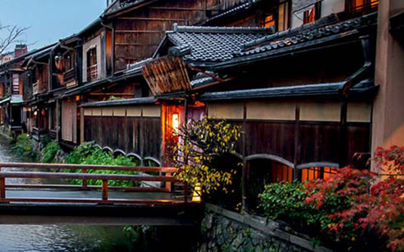 日本美丽的樱花