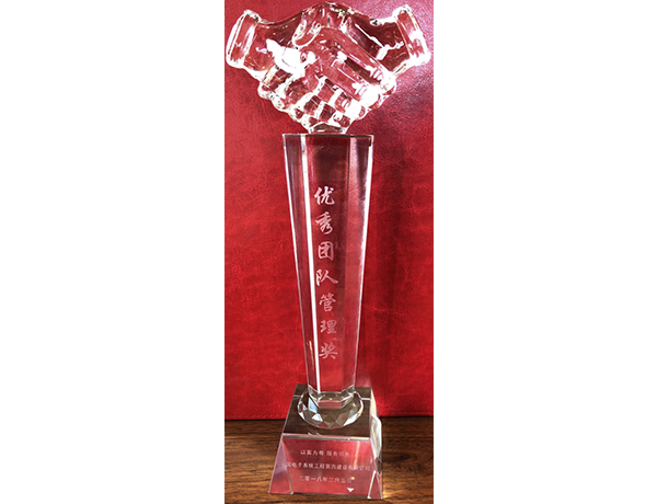 优秀团队管理奖