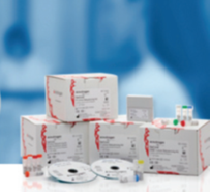 HLA分型试剂 SBT法 SeCore