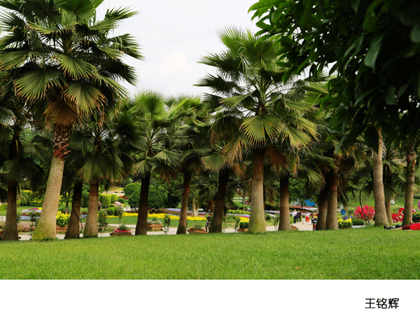 2017上期摄影班学员王铭辉作品