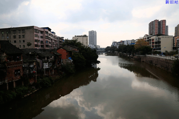2017下期摄影班王昌碧学员作品