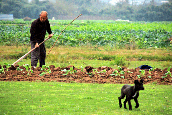 2017下期摄影班陈淑琴学员作品