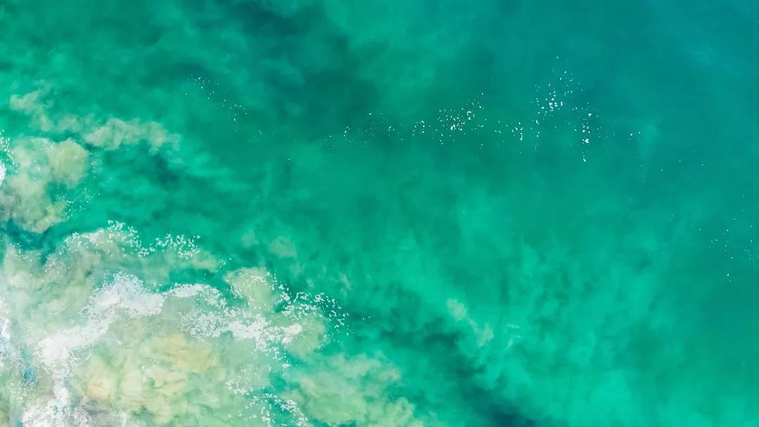 福天下 | 生活中穿行的精致艺术