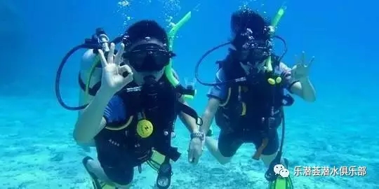 【樂潛荟】让孩子体验潜水的乐趣！——PADI 泡泡小勇士课程