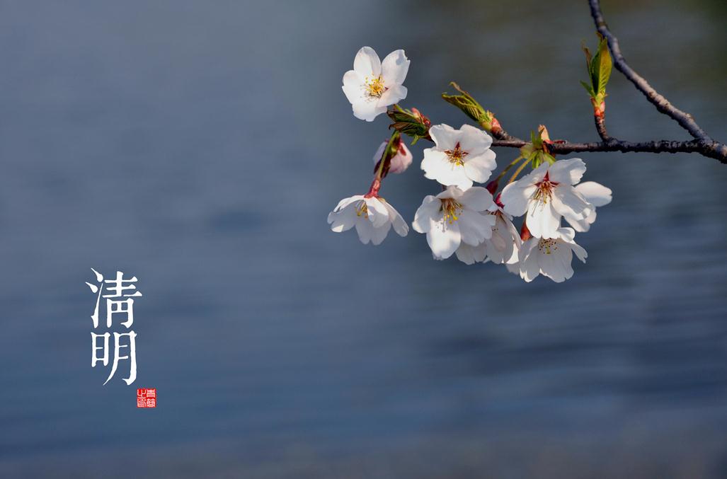 清明假期本地出游功略