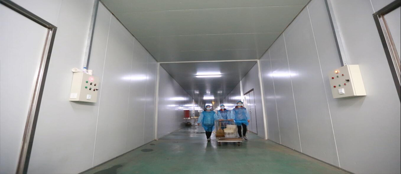 华誉标准化GMP培育厂房