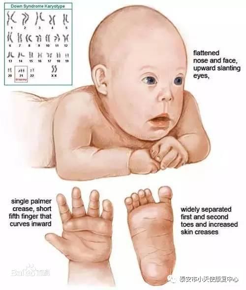 20200401104040_63853.jpg 微信图片_20200401104032.jpg