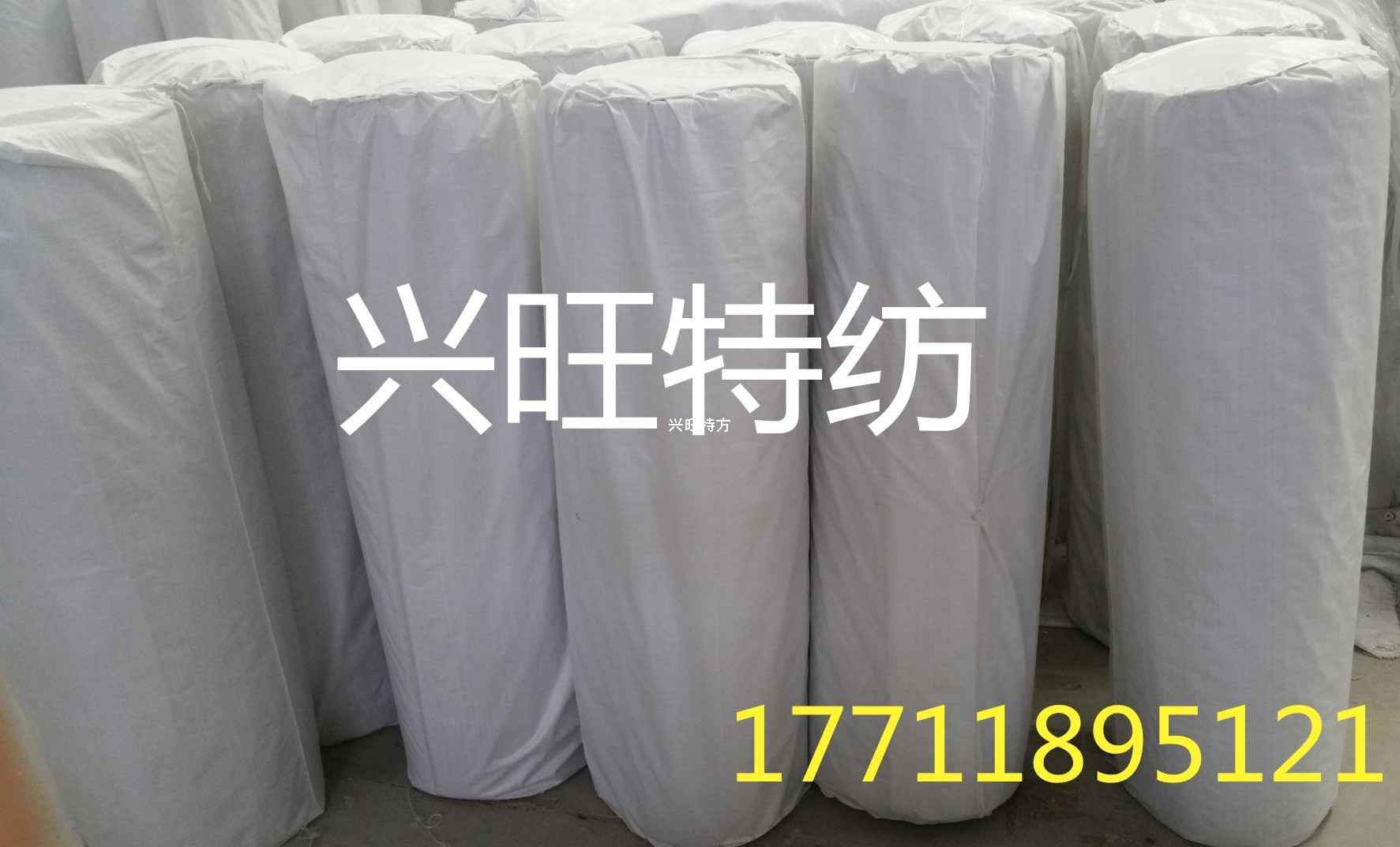 betway随行版betway手机版登录