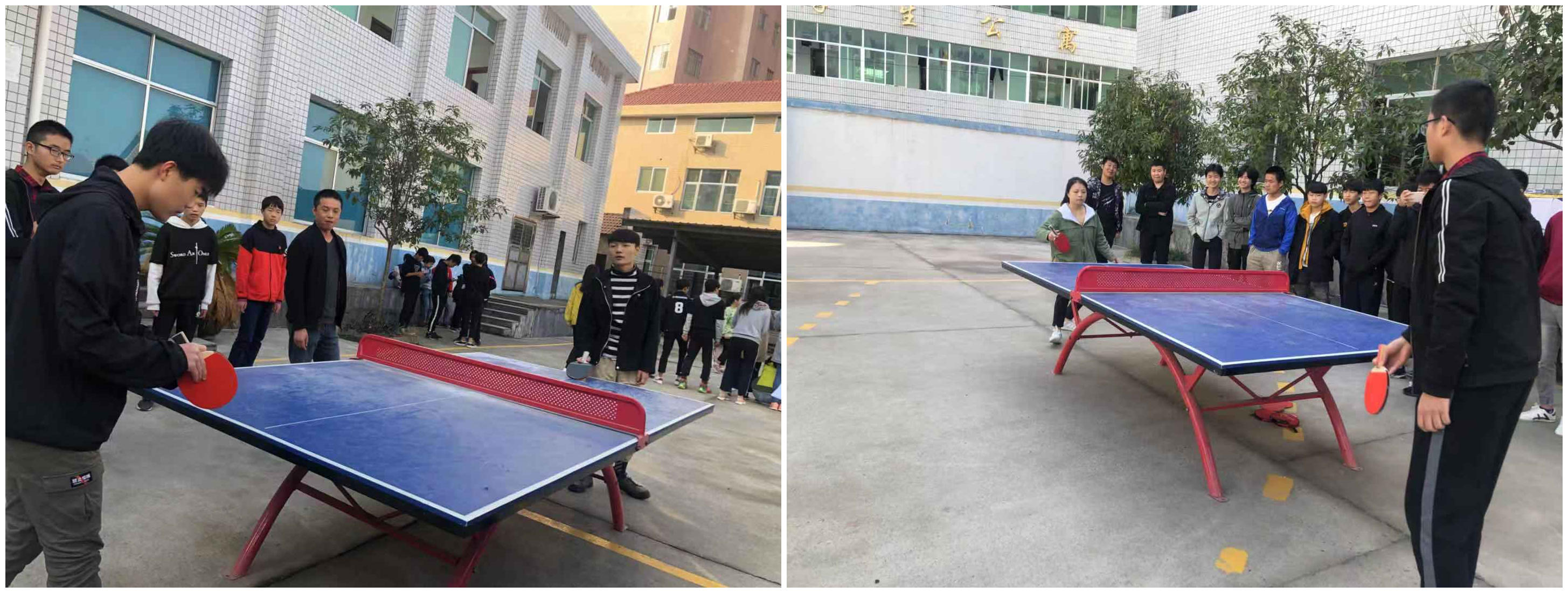 运动会乒乓球比赛1