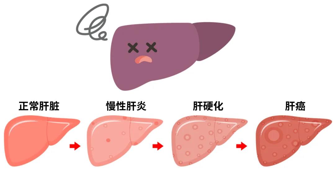 台湾长庚医院治乙肝