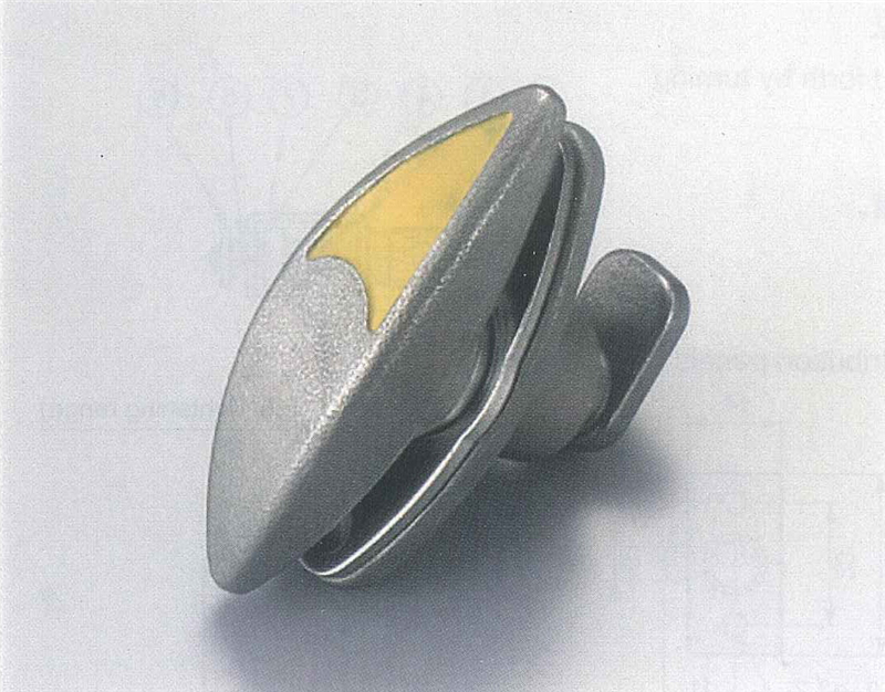 Cloud Zoom small image