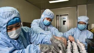 藥物、疫苗研發(fā)有何新進(jìn)展？中醫(yī)藥抗“疫”效果怎樣？