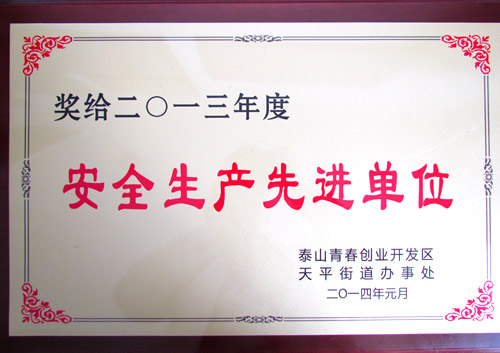 安全生产先进单位