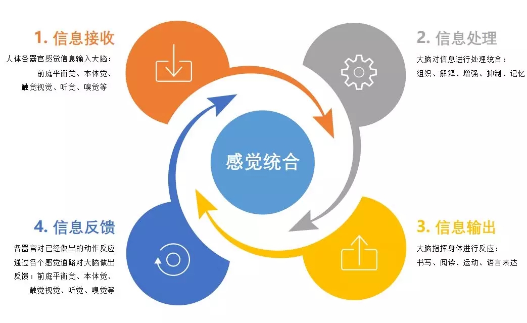 天津特殊儿童康复训练机构儿童感觉统合失调的原因及表现分析