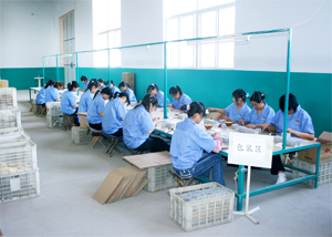 潍坊晟泰华电子有限公司年生产家电配件1000万件项目竣工环境保护验收工作组意见