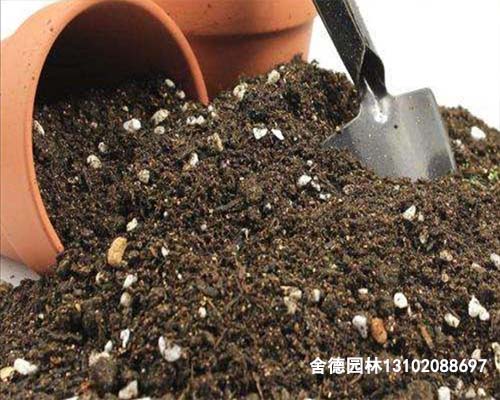 南京营养土 、南京泥炭土、南京草炭土、南京绿化土