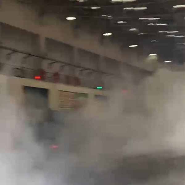 合肥除四害服務(wù)