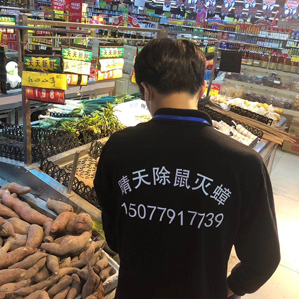 殺蟲除蟲現(xiàn)場(chǎng)