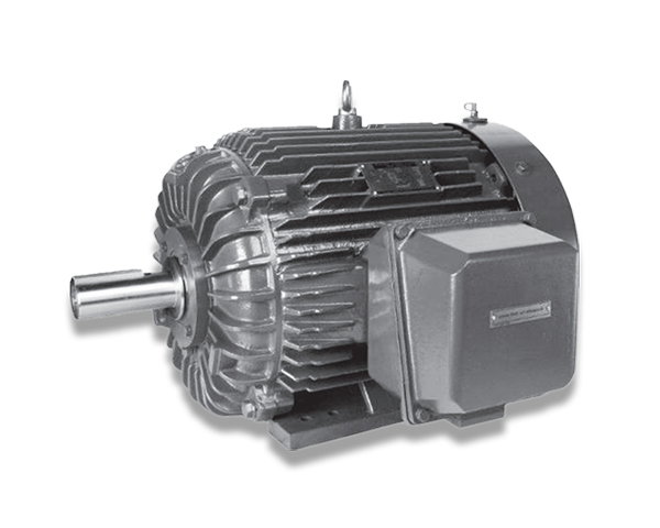 NSHE系列NEMA超高效率电机