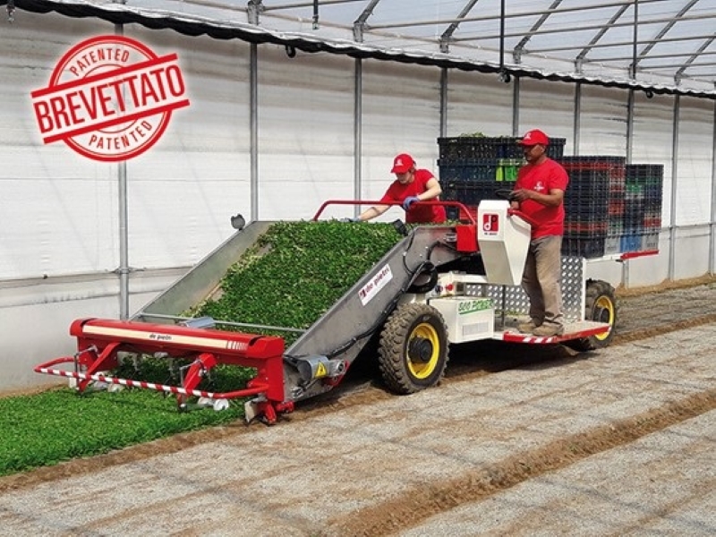 FR 38 S电驱蔬菜茎叶收获机/Baby Leaf Harvester