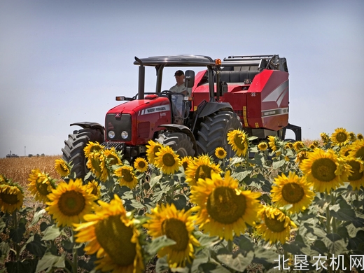 麦赛福格森品牌宣传片