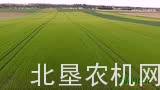 牧草全程机械化作业视频