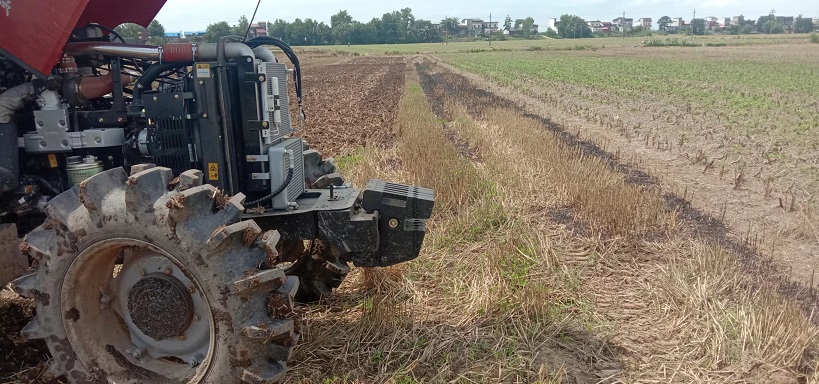 老苏服务日记2022年6月11日