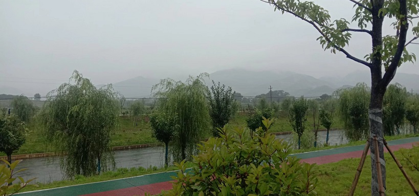 老苏服务日记2022年6月13日