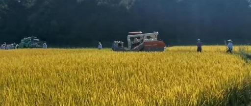 老苏服务日记2022年7月27日