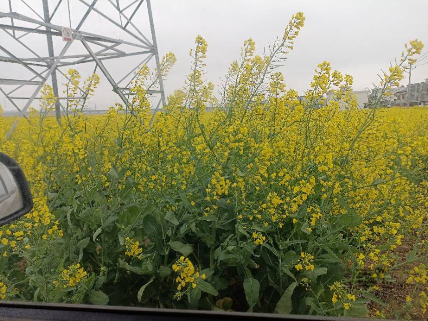 老苏服务日记2023年3月19日