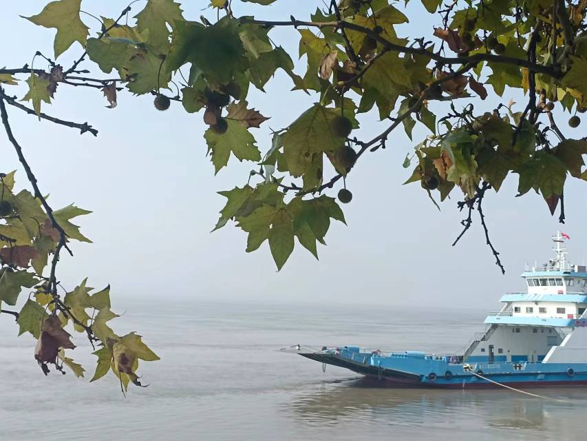 老苏服务日记2023年10月22日