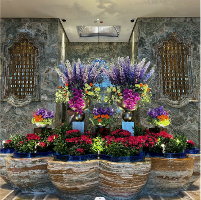 【每時(shí)播報(bào)】澳門(mén)黑米甄選（二期）·第三站：金殿堂