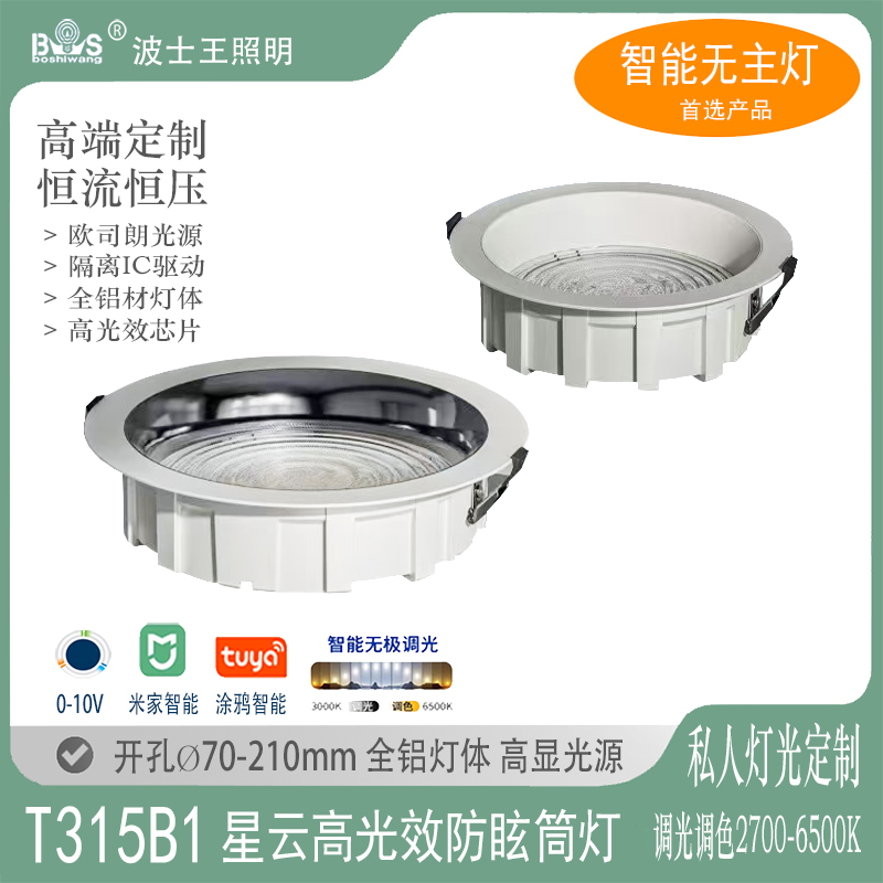 T315B1星云  高光效筒灯1.jpg