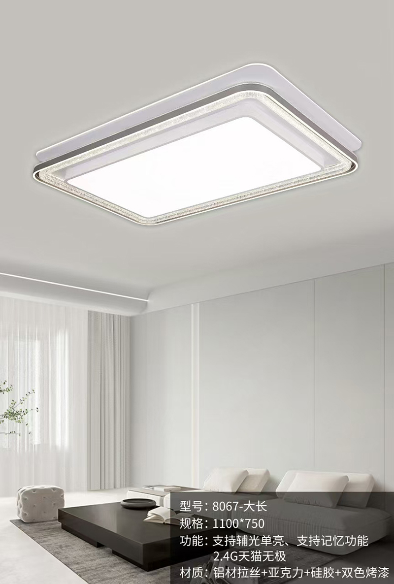 现代铁艺灯 SN-8067 (4).jpg