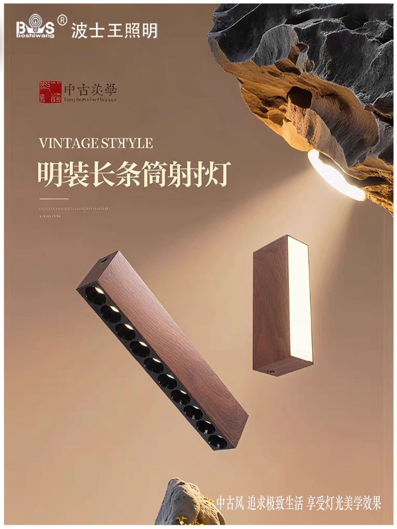 S5038YT艺佳 长条筒射灯5.jpg