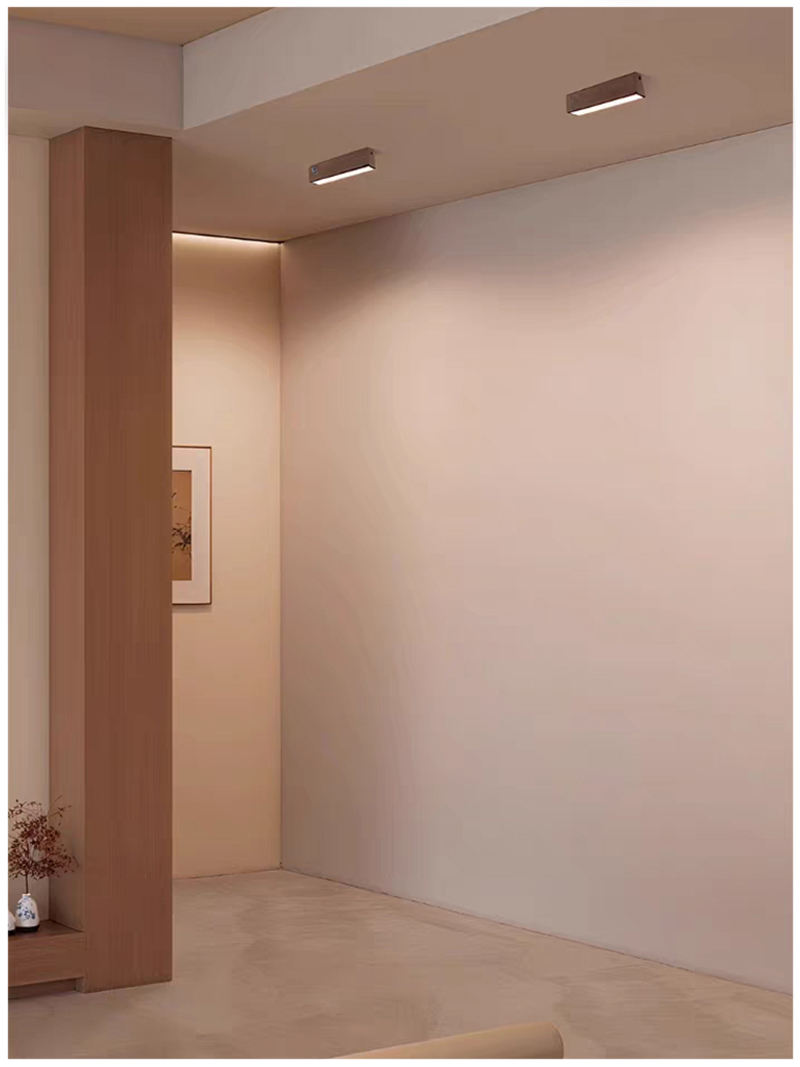 S5038YT艺佳 长条筒射灯22.jpg