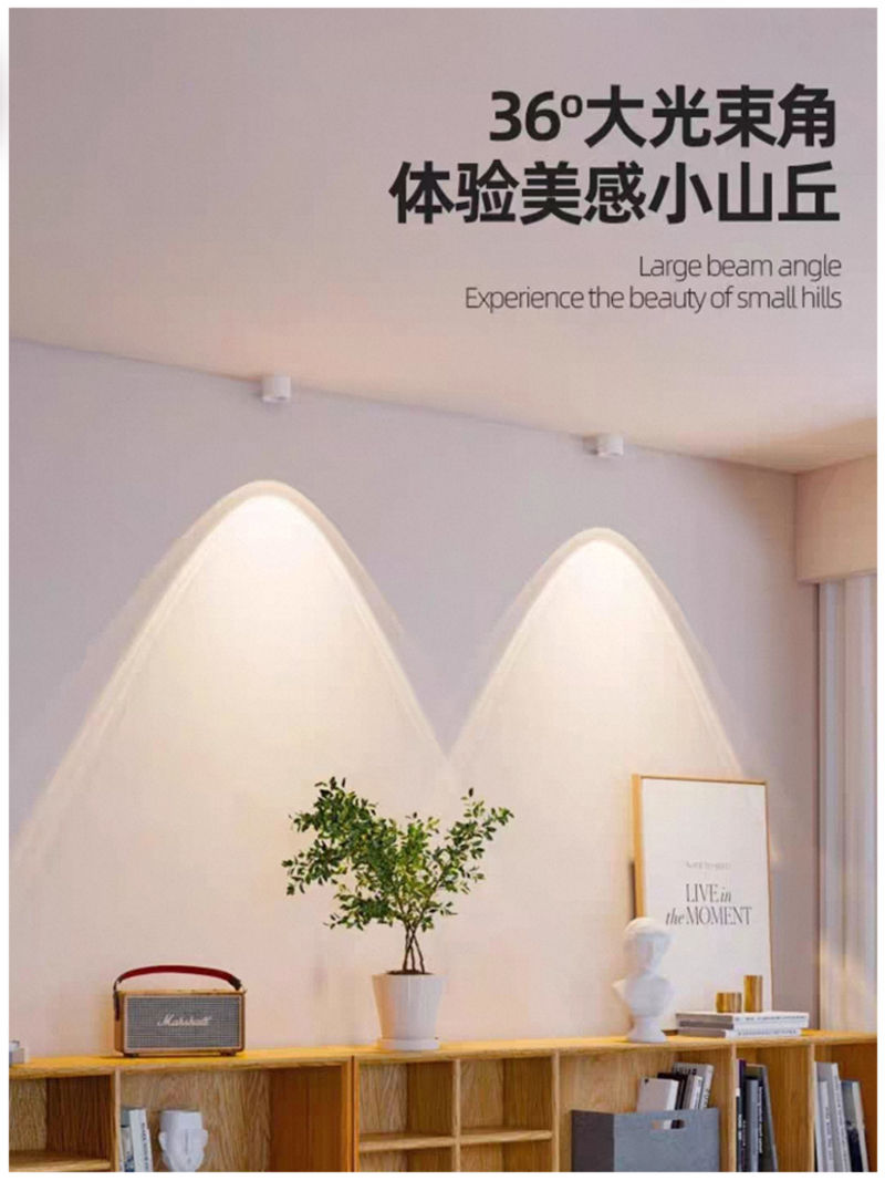 M762YT彩虹 明装射灯19.jpg