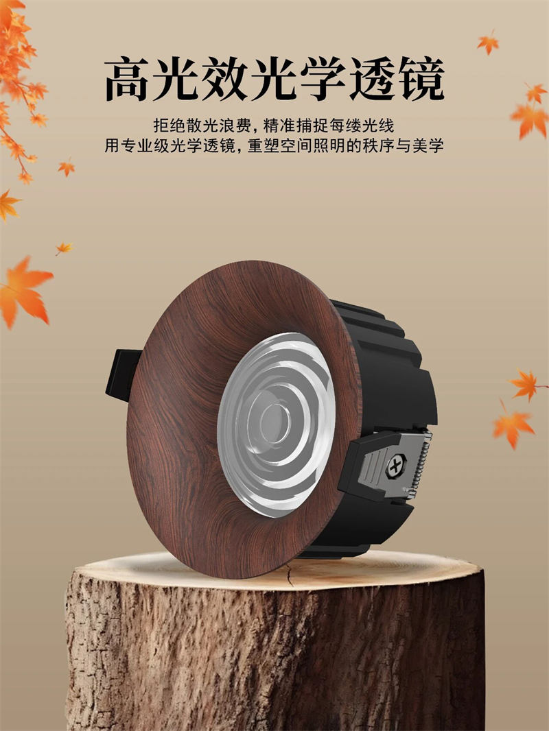 S551YH浪琴 高光效筒灯12.jpg