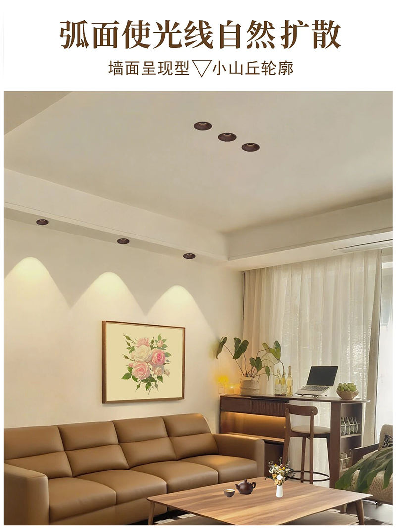 S5053YH劳力士 弧面射灯17.jpg