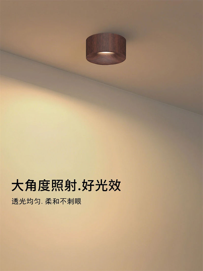 S5054YH劳力士 明装射灯44.jpg