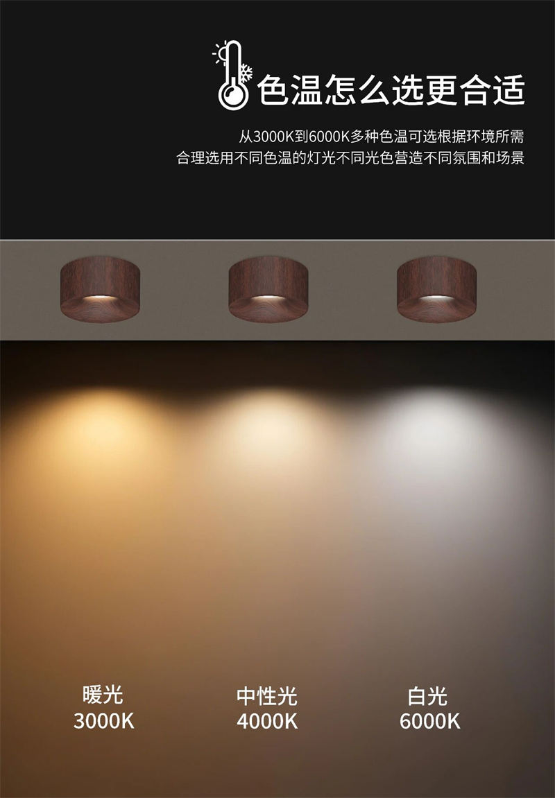 S5054YH劳力士 明装射灯45.jpg