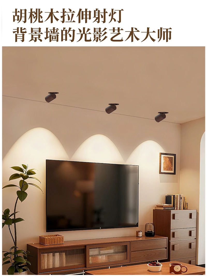 S5058YH鸿蒙 拉伸射灯15.jpg