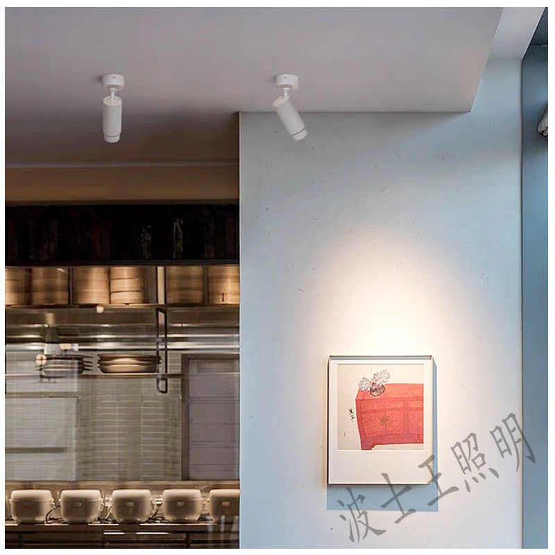 S5039H1调焦 明装射灯17.jpg